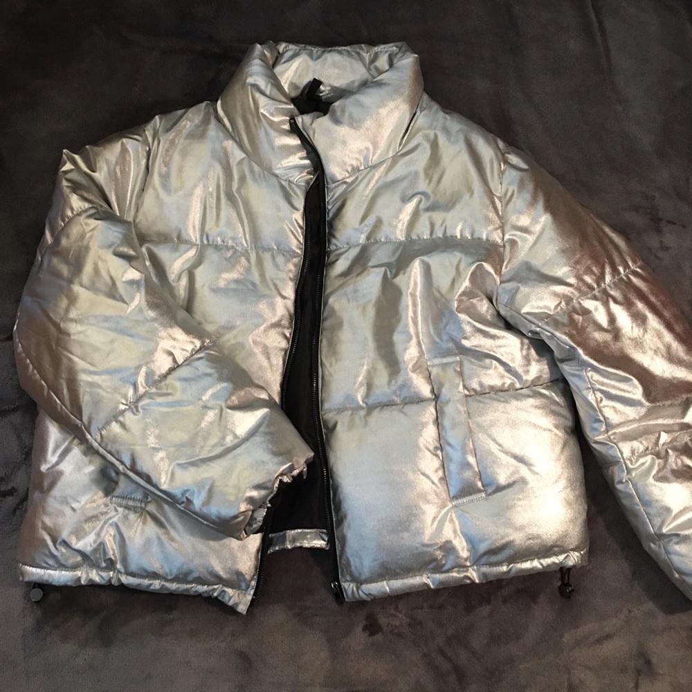 Puffy Silver Winter Jacket
